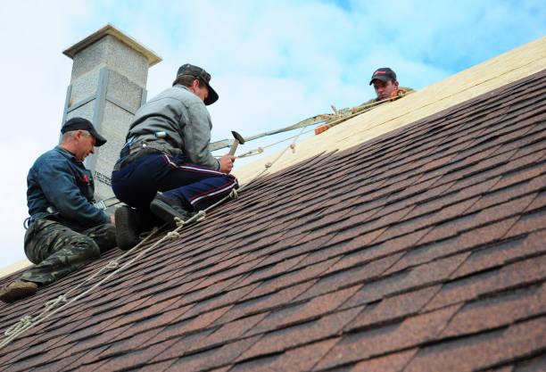 Best Roof Gutter Cleaning  in Grand Blanc, MI